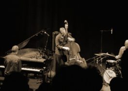 Stefan Orins Trio @Tourcoing Jazz Festival 2014 ©Céline