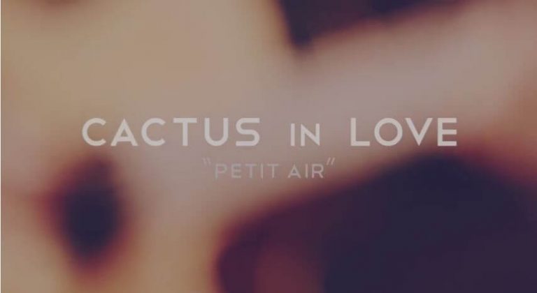 Cactus in Love – Petit Air