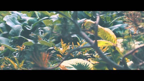 Soulfakers – Once