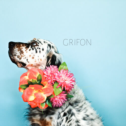 GRIFON – L&rsquo;aiguille du loup
