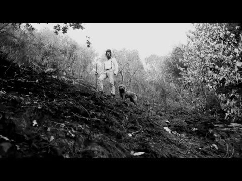Frederick + Héloïse – A vous