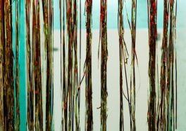 Jazzeux 2016 Beursschouwburg à Bruxelles © Alexandre Taymans