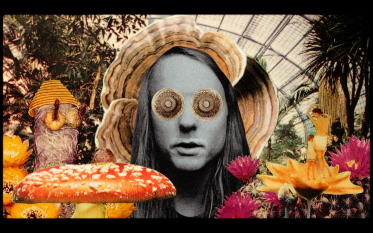 Andy Shauf – The Magician