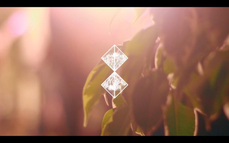 Bagdad Bahn – Solari