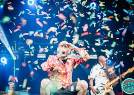 Les Nuits Secrètes 2016 © Davy Kazimierzak