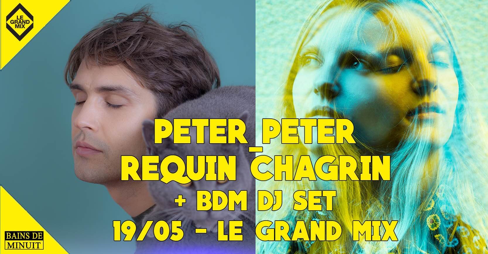Peter Peter - Une Version Amelioree De La Tristesse (Vinyle Neuf) main image 0