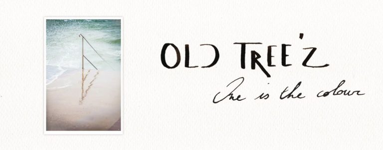 Old Tree&rsquo;z – One is the Colour