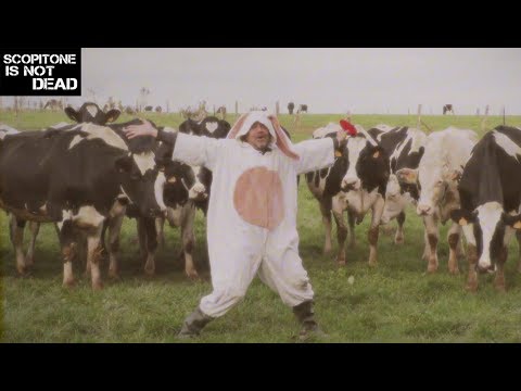 Marcel et son Orchestre – Les Vaches
