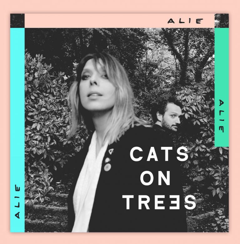 Cats on Trees – le nouveau clip de Took Took