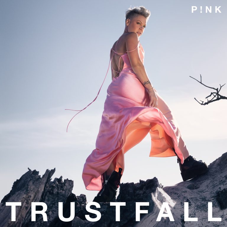 P!NK Never Gonna Not Dance Again