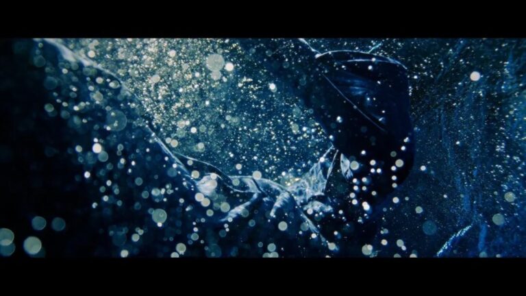 ELEANOR SHINE – Le Bleu (2024)