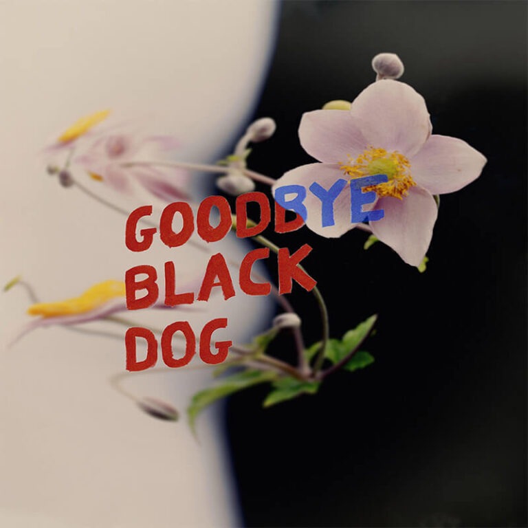 PURRS ✦ premier album : Goodbye Black Dog (2024)