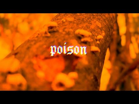 Sarasara – Poison (Official Music Video) (2024)