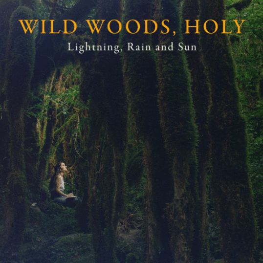 Wild Woods, Holy – Lightning, Rain and Sun (2024)