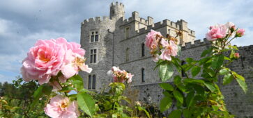 Agenda septembre 2025 au Château d’Hardelot histoire, découverte et créativité pour tous DSC_5193