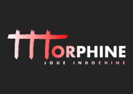 Morphine en concert le 1er mars 2025 au Théâtre de Denain