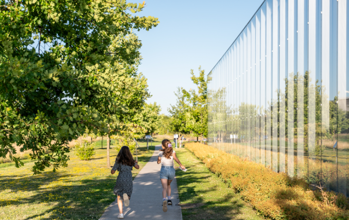 Rendez-vous aux Jardins 2026 : le Louvre-Lens célèbre la nature en fête !