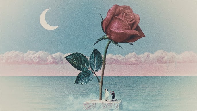 Tove Lo – des fleurs x stromae (Official Video) (2026)